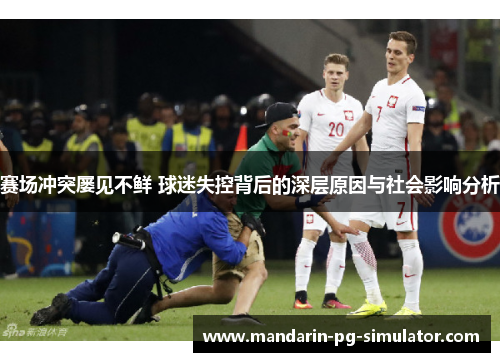 赛场冲突屡见不鲜 球迷失控背后的深层原因与社会影响分析 赛场冲突屡见不鲜 球迷失控背后的深层原因与社会影响分析