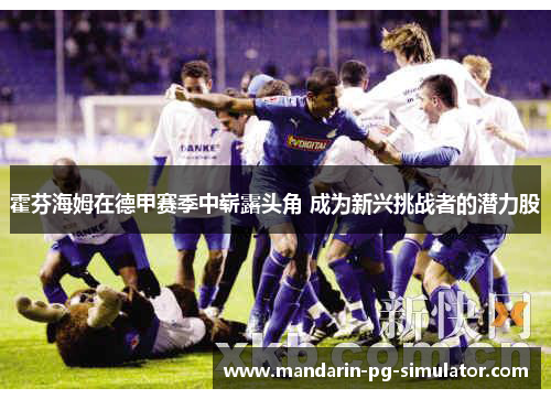 霍芬海姆在德甲赛季中崭露头角 成为新兴挑战者的潜力股 霍芬海姆在德甲赛季中崭露头角 成为新兴挑战者的潜力股