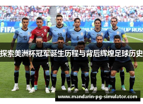 探索美洲杯冠军诞生历程与背后辉煌足球历史