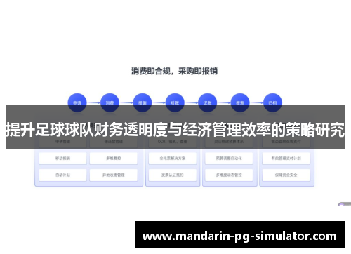 提升足球球队财务透明度与经济管理效率的策略研究 提升足球球队财务透明度与经济管理效率的策略研究