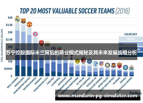 苏宁控股国际米兰背后的商业模式揭秘及其未来发展战略分析 苏宁控股国际米兰背后的商业模式揭秘及其未来发展战略分析