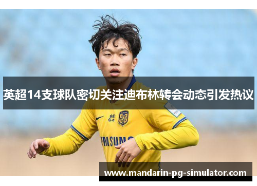 英超14支球队密切关注迪布林转会动态引发热议 英超14支球队密切关注迪布林转会动态引发热议