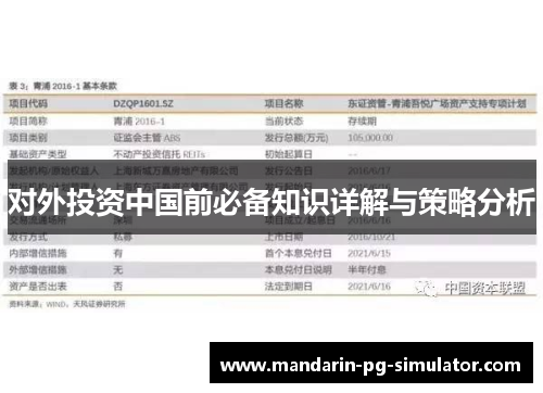 对外投资中国前必备知识详解与策略分析 对外投资中国前必备知识详解与策略分析
