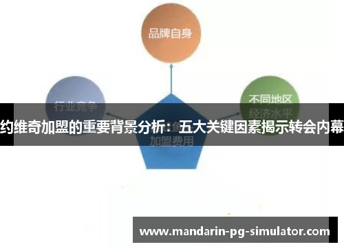 约维奇加盟的重要背景分析：五大关键因素揭示转会内幕