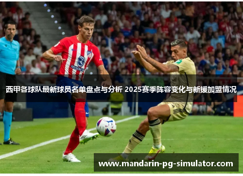 西甲各球队最新球员名单盘点与分析 2025赛季阵容变化与新援加盟情况