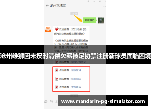 沧州雄狮因未按时清偿欠薪被足协禁注册新球员面临困境 沧州雄狮因未按时清偿欠薪被足协禁注册新球员面临困境