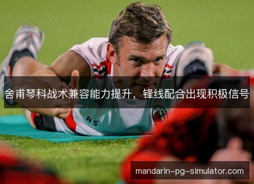舍甫琴科战术兼容能力提升,锋线配合出现积极信号 舍甫琴科战术兼容能力提升,锋线配合出现积极信号